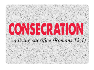 Borrow - Loan Company Website Template